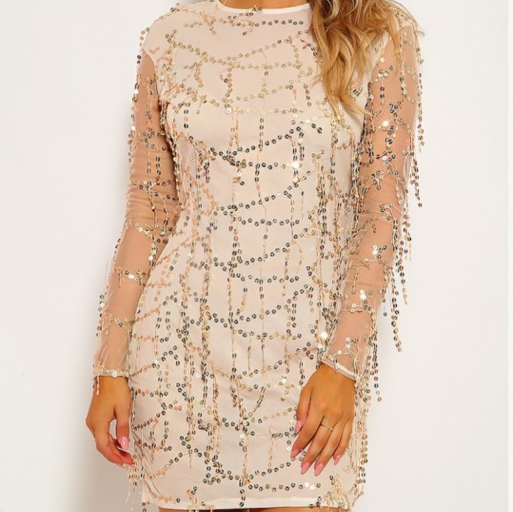 🎄Holiday Gold Tassel Sequin Long Sleeve Fun Dress